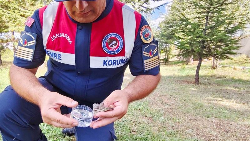 Yozgat Jandarmasından Florya Cinsi Yavru Kuşa Şefkat Eli!